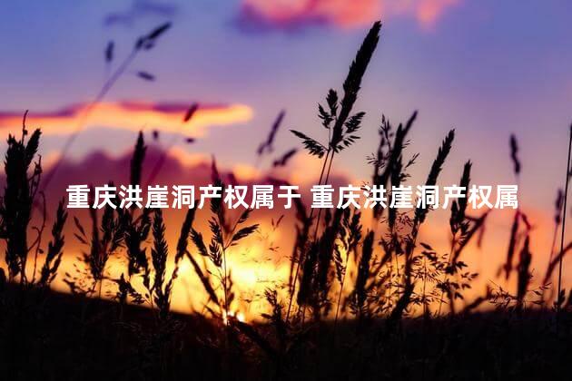 重庆洪崖洞产权属于 重庆洪崖洞产权属于重庆市的吗